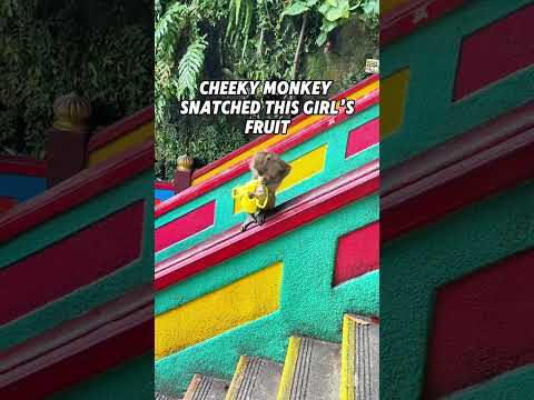 Exploring Kuala Lumpar - Batu Caves #travel #kualalumpur #bucketlist #travelvlog