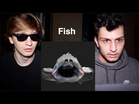 We Bought a PET FISH Off the Dark Web!