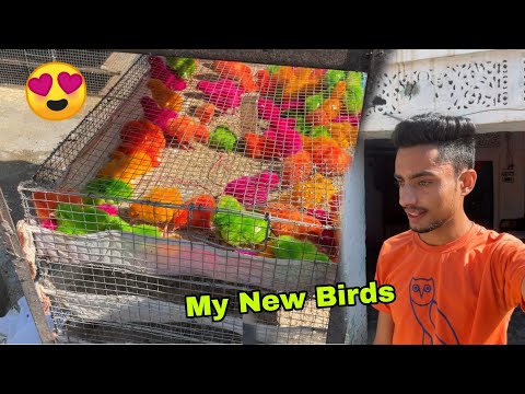 New Birds Le Liye 🦅 My New Birds 😍