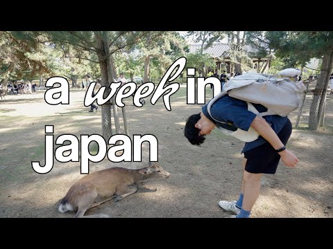 a week in osaka, kyoto, and nara (chill vlog)