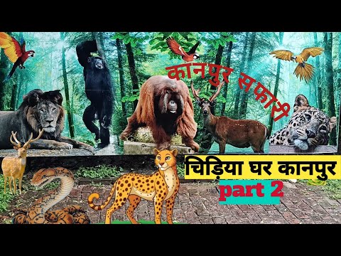 Kanpur zoo| kanpur Safari| kanpur ka video| #video #viral #zoo #kanpur @AfzalRZvlogs