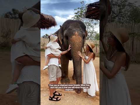 They say an elephant never forgets. #travel, #travelfamily, #elephant, #elephantsantuary