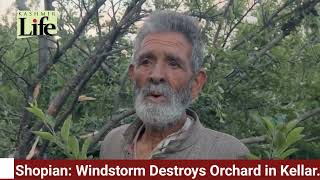 Shopian: Windstorm Destroys Orchard in Kellar