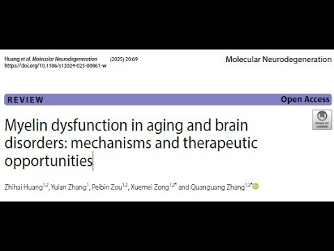 Myelin dysfunction and therapeutic frontiers