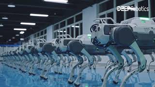 DEEP Robotics Mass production