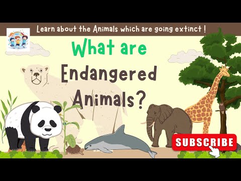 What are Endangered Animals | Kids Informative Video |  Meet the Species on the Brink of Extinction