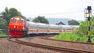 KERETA API PANJANG‼️ MENEMUKAN 25 KERETA API DI PERLINTASAN DAN TIKUNGAN