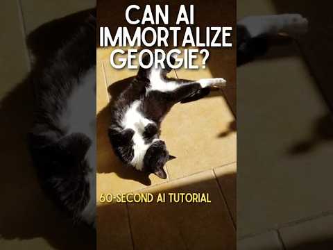 Can AI turn my cat's quirks into a song? Let's find out! | Suno AI Tutorial