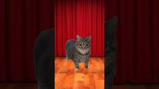 🐱 OIIA OIIA (Spinning Cat) | Fun Animal Beat |Cute cate #miawmiaw #catmeow #cute #catsound #OIIAOIIA