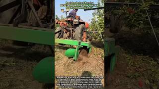 Precision Orchard Farming | Mini Tractor with Inter-Row Cultivator for Efficient Weed Control