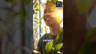 Work Smarter by Sitting Near a Window 🌞🧠 (Energy Boost Without More Sleep!)