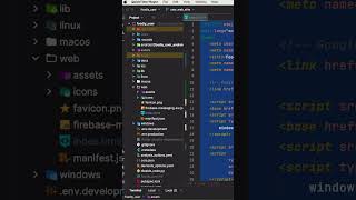 Flutter web app and animation loading  #fluttercourse #fluttertutorial #coding #learnflutter