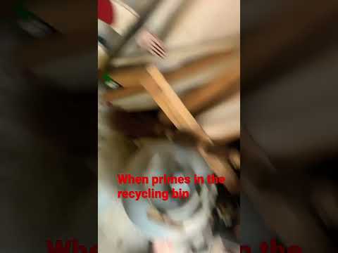 When primes in the recycling bin