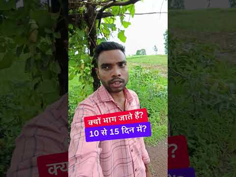Kyun Bhag Jaate Hai ?