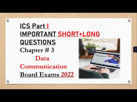 Class 11 Computer Science Chapter 3 Important Questions Long and Short | 2022