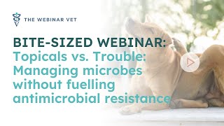 Webinar Bite: Topicals vs. Trouble: Managing microbes without fuelling antimicrobial resistance