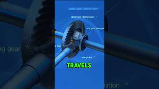 HOW DOES THE DIFFERENTIAL WORK?