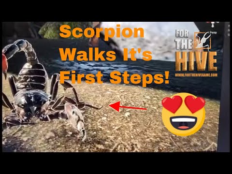For The Hive Game: Scorpion Rigging!