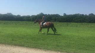 Limerick Hacking Out