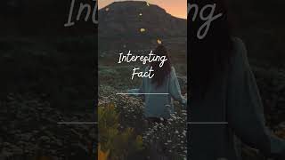 First Impressions: Your Brain's Quick Judgment in 4 Minutes! 🧠👥