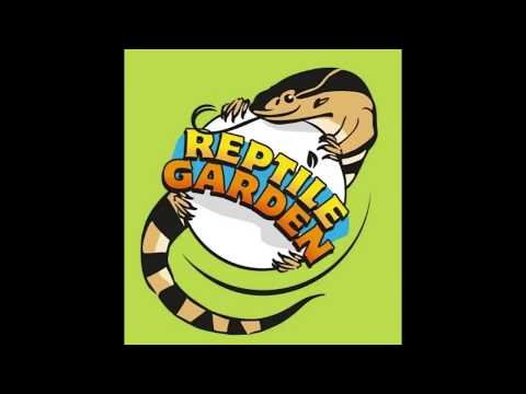 Cotton Mouth cleaning and bio-active cage