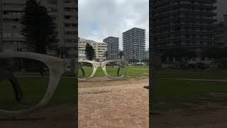 Mandela glasses. Sea point, South Africa #fypシ  #worldexplorer #travel #adventure #traveltheworld