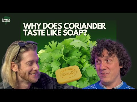 🌶️ Why Does Coriander Taste Like Soap? | Cheap TVs, Phobias & Brass Monkeys – ANMAN #17