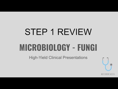 USMLE STEP 1 HIGH-YIELD MICROBIOLOGY - FUNGI | MED STUDENT SUCCESS