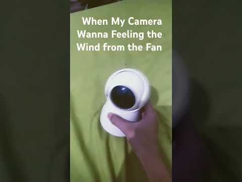 Bro Dead