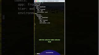 Kubernetes Tutorial For Beginners: K8s Labels and Selectors Made Easy – Learn How They Work #k8s