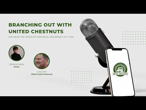 Can Tissue Culture Save the Chestnut Industry?  | Branching Out