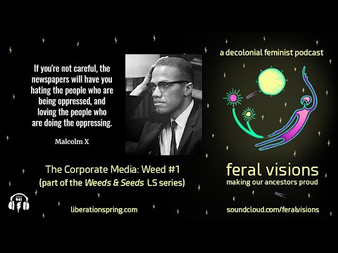 The Corporate Media & Intro: Weed #1