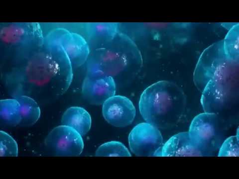 Kyle Hoobin -- Before Anything Was Anything