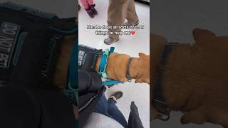 Wholesome children with service dog! #servicedog #dogtraining #dog #youtubeshorts #shorts #fyp