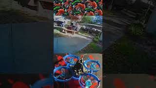Tiny whoop freestyle a tank! #drone #fpvdrone #fpv_freestyle #tinywhoop #webleedfpv #fpvfreestyle