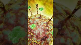 Top 5 Deadly Brain Viruses #virus #pandamic
