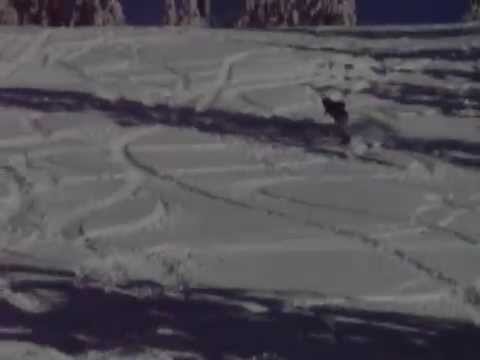 snow summit flip