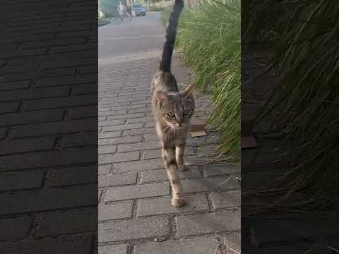 Be who you are, not who others want you to be. #BeYourself #StayTrue #fortitude #будьсобою #силадуху