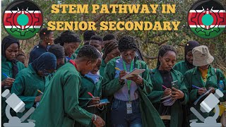 THE STEM PATHWAY:  An Explainer
