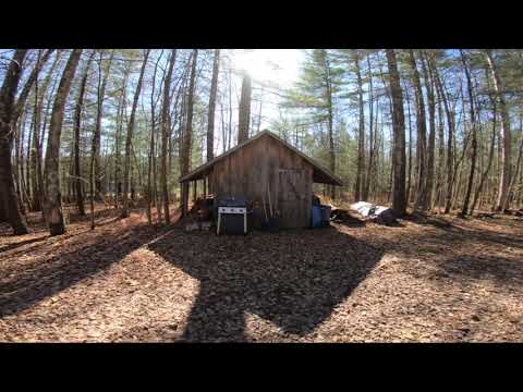 Sunday (Time To Go Home)