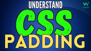 CSS Masterclass for Beginners 2024: Understanding CSS Padding | Story By Rakesh