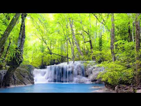 Mofeansy - 春末