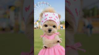 Angtal Challenge🌸 #dog #puppy #TWS #OVERDRIVE #ai #aidance #aipuppy #taniguri #dogshorts #angtal ...