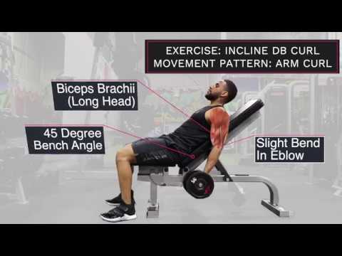 7 UPPER BODY Movements Every Workout MUST Include