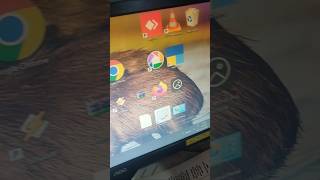 Pc software icon how to small & larger #pc #computer