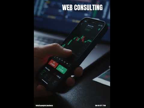 Web Consulting 3