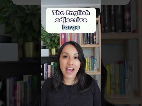 😱 False Friends! | English & Spanish Adjectives | False Cognates