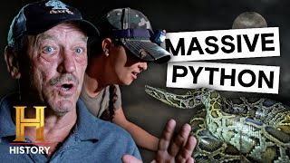 Which Hunter Will Catch the LARGEST Python?! | Swamp People: Serpent Invasion (S5) | History