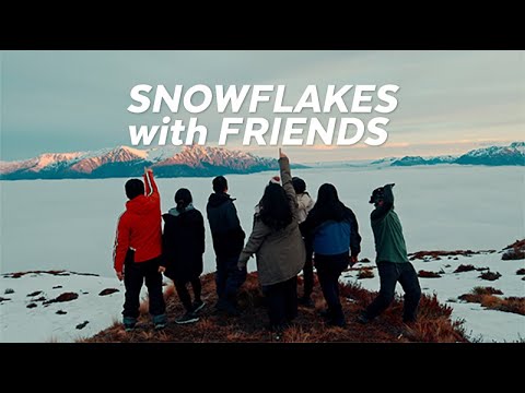 Snow Flakes and Friends