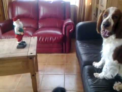 Santa and Puppy !!